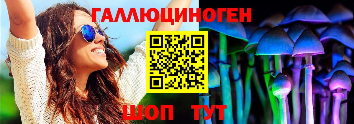 Сальск  Галлюциногенные грибы Cubensis  Вход с VPN  Псилоцибиновые грибы Cubensis 