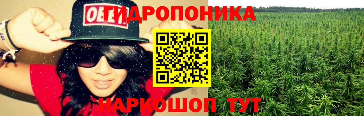 Каннабис Amnesia  Вход с VPN  Бошки марихуана сатива  Конопля план  Каннабис ГИДРОПОН  Сальск 